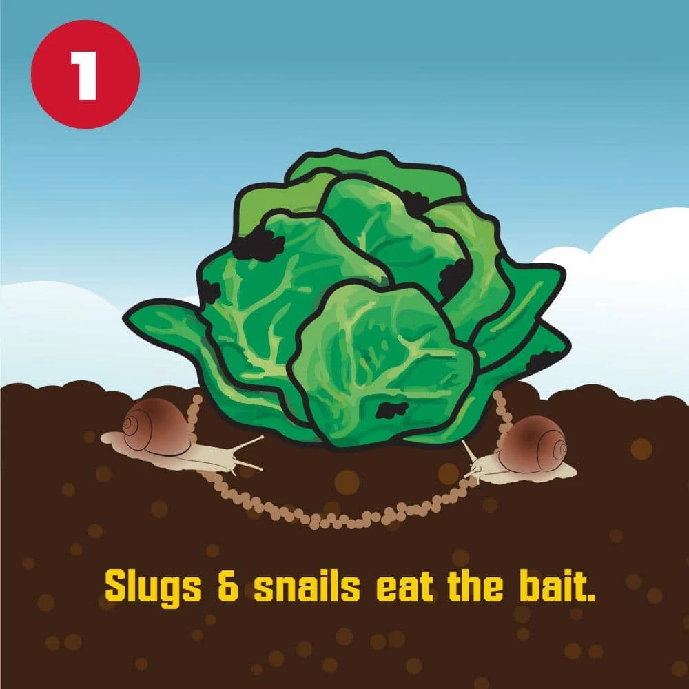 1.75 lbs. Slug and Snail Killer by Corry's 9 1.75 lbs. Slug and Snail Killer by Corry's - Image 7