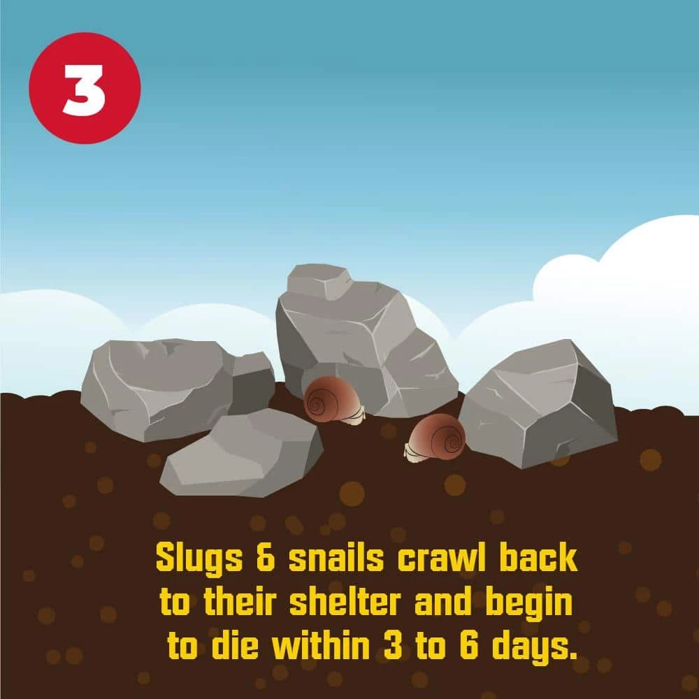 8 lb. Slug and Snail Killer by Corry's 10 8 lb. Slug and Snail Killer by Corry's - Image 8