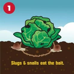 3.5 lbs. Slug and Snail Killer by Corry's -Pest Control Sales corry s insect killer granules 100537446 c3 1000
