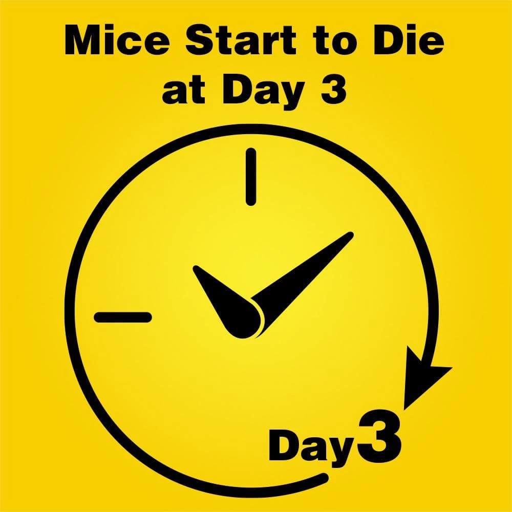 Corner Fit Refillable Mouse Bait Station (12 Refill) by d-CON 4 Corner Fit Refillable Mouse Bait Station (12 Refill) by d-CON - Image 2