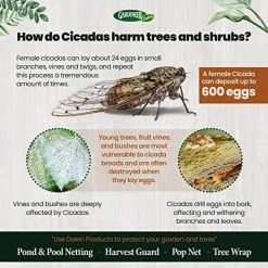 Pond & Pool Netting 14 ft X 14 ft by Dalen 17 Pond & Pool Netting 14 ft X 14 ft by Dalen -Pest Control Sales dalen animal barriers pn 14 fa 1000