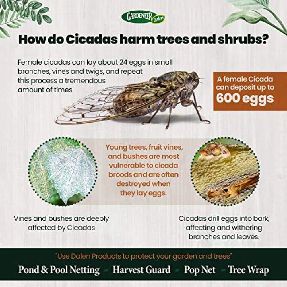 Pond & Pool Netting 14 ft X 14 ft by Dalen 9 Pond & Pool Netting 14 ft X 14 ft by Dalen - Image 7