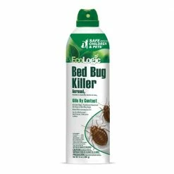 14 oz. Safe Aerosol Bed Bug Killer by EcoLogic
