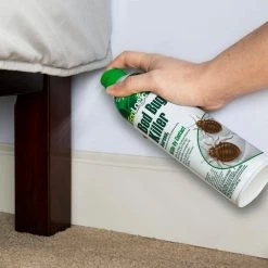 14 oz. Safe Aerosol Bed Bug Killer by EcoLogic -Pest Control Sales ecologic bug killer spray hg 75030 66 1000