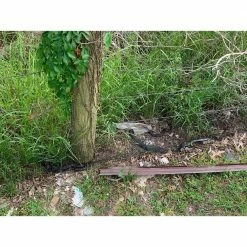 100 ft. Snake Trap and Fence-Style Snaring Kit by EVE'S REVENGE SNAKE SNARES -Pest Control Sales eve s revenge snake snares animal barriers ss100 44 1000