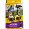 Tank Mix Bird Repellent Spray by Flock Free