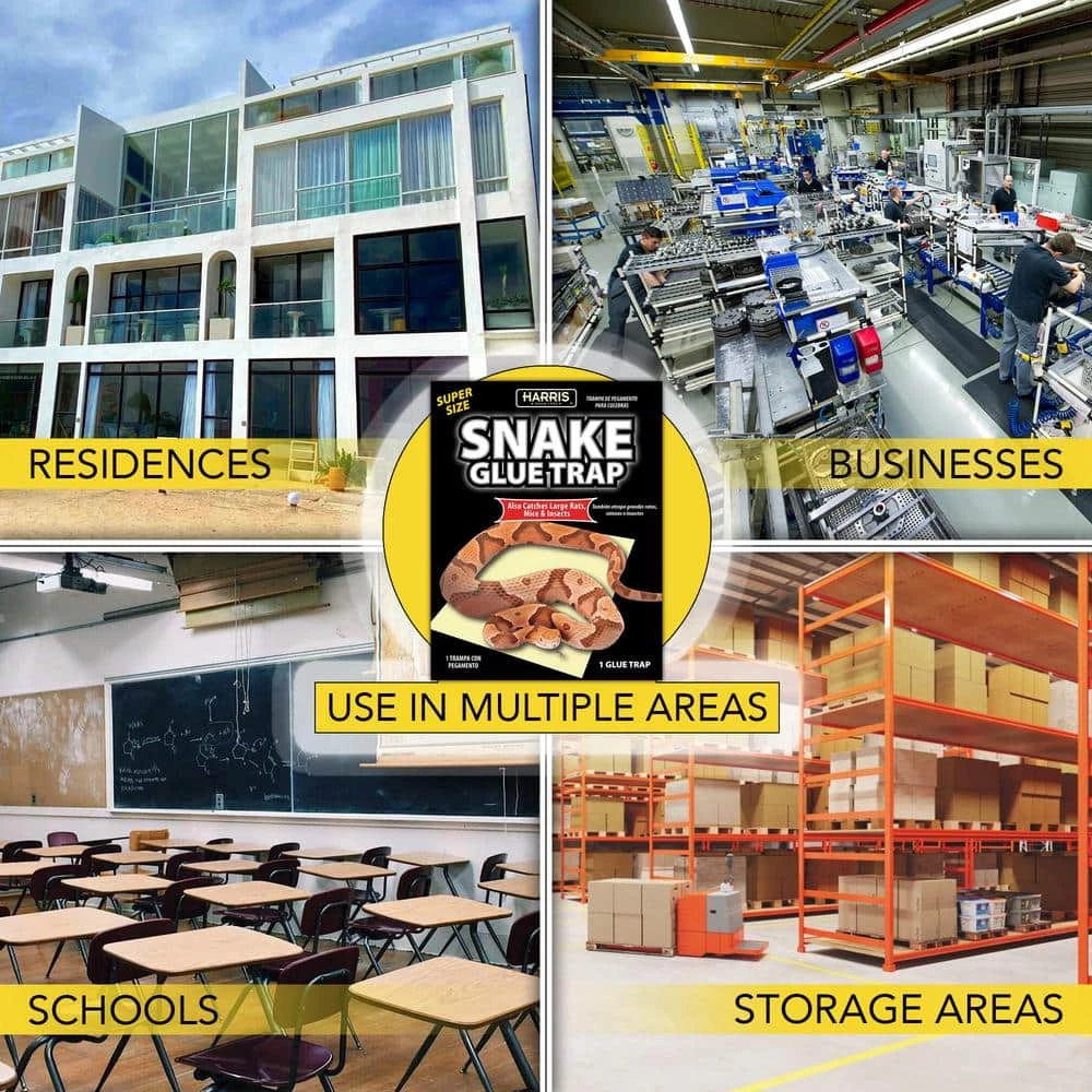 Snake Glue Trap Super Size (3-Pack) by Harris 6 Snake Glue Trap Super Size (3-Pack) by Harris - Image 4