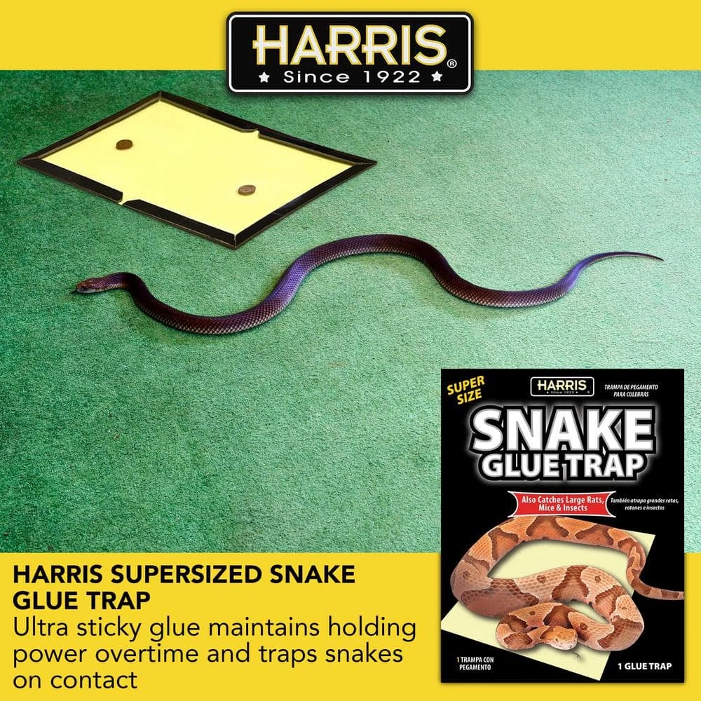 Snake Glue Trap Super Size (3-Pack) by Harris 5 Snake Glue Trap Super Size (3-Pack) by Harris - Image 3