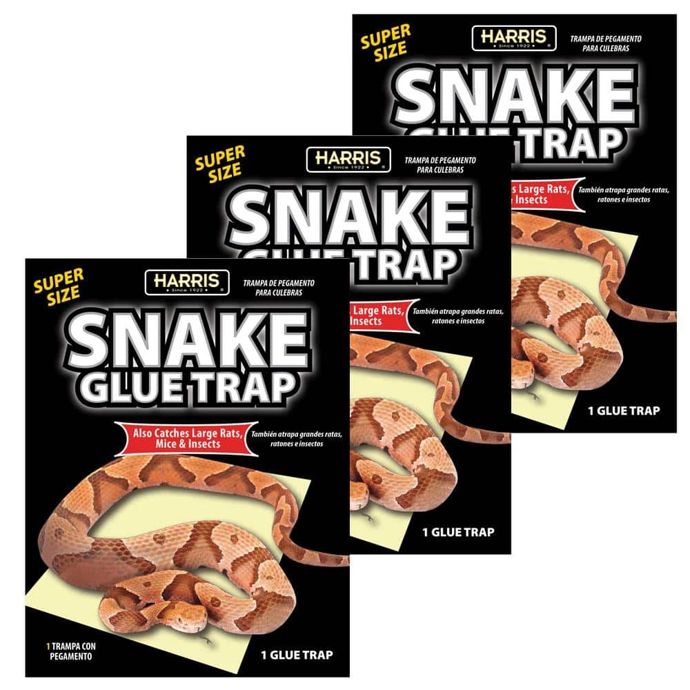Snake Glue Trap Super Size (3-Pack) by Harris 3 Snake Glue Trap Super Size (3-Pack) by Harris