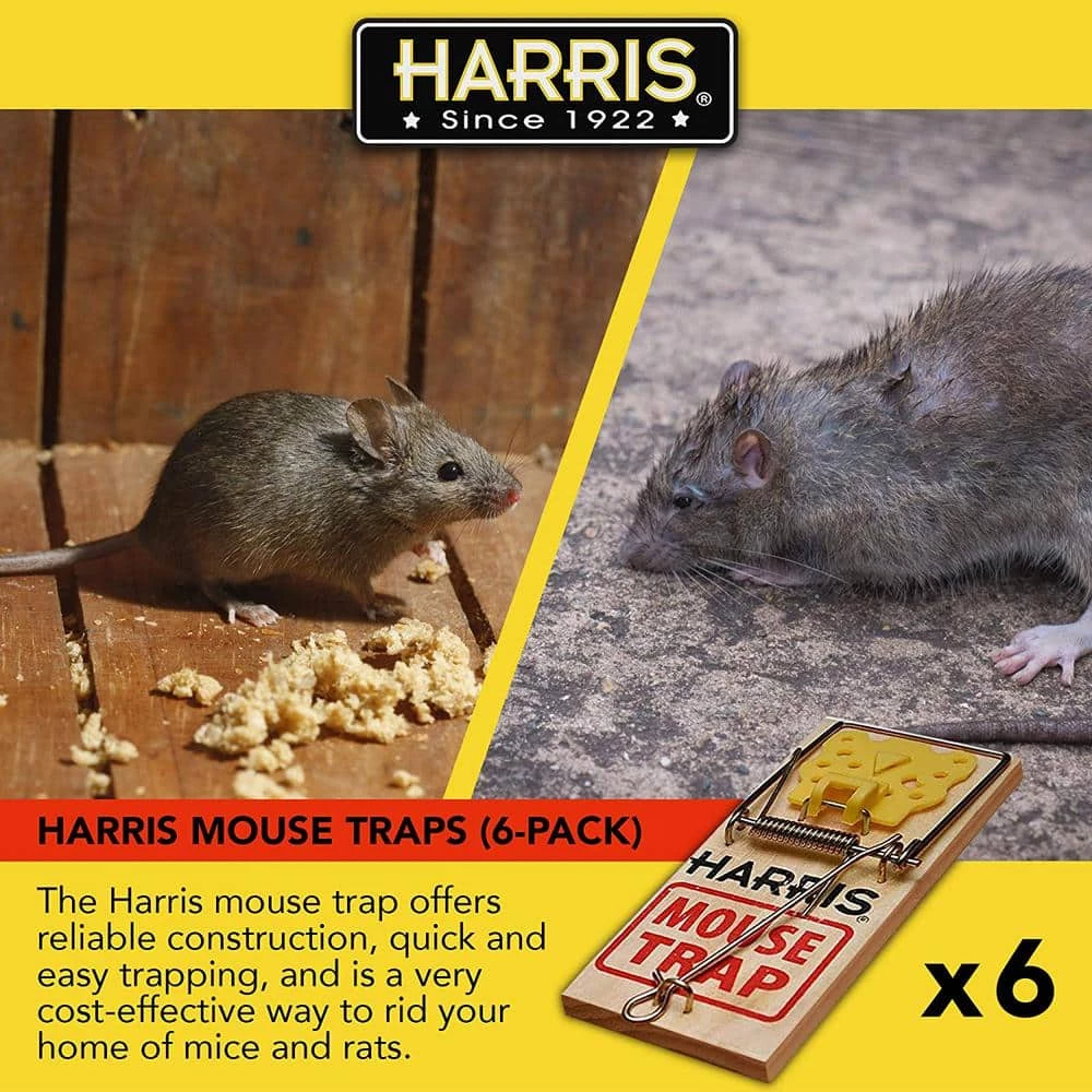 Mouse Snap Trap (12-Pack) by Harris 7 Mouse Snap Trap (12-Pack) by Harris - Image 5