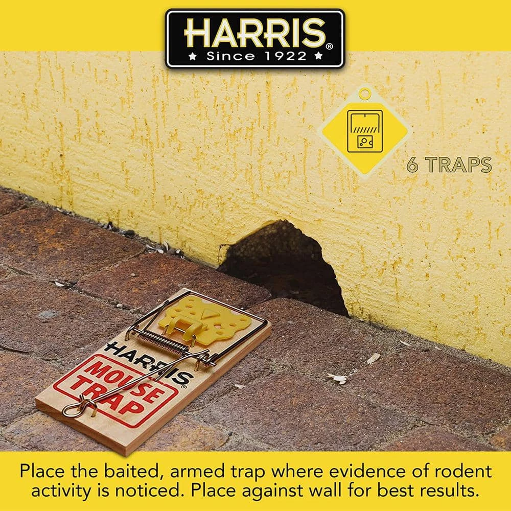 Mouse Snap Trap (12-Pack) by Harris 8 Mouse Snap Trap (12-Pack) by Harris - Image 6