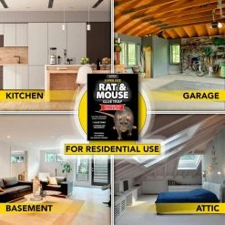 Rat and Mouse Glue Trap Super-Size with Lure (3-Pack) by Harris -Pest Control Sales harris animal traps blkrat1 3pk 1f 1000