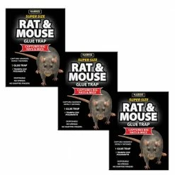 Rat and Mouse Glue Trap Super-Size with Lure (3-Pack) by Harris