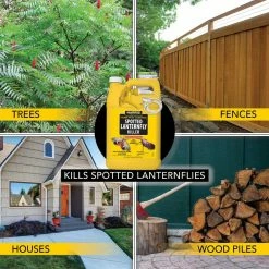 1 Gal. Spotted Lanternfly Killer by Harris -Pest Control Sales harris bug killer spray slf 128 44 1000