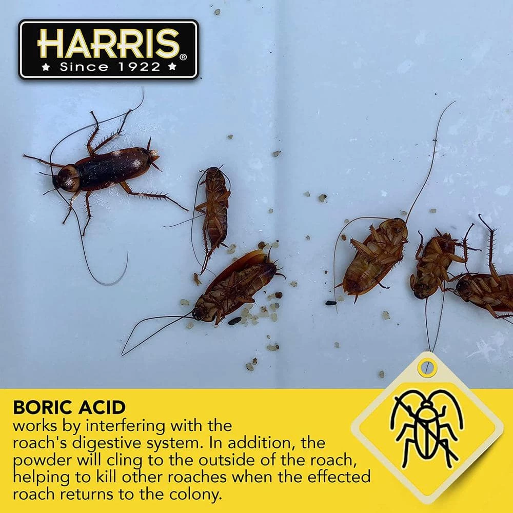 16 oz. Roach Killer Powder 99% Boric Acid with Lure by Harris 7 16 oz. Roach Killer Powder 99% Boric Acid with Lure by Harris - Image 5