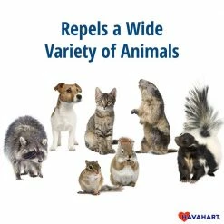 Critter Ridder 2 lb. Animal Repellent Granules by Havahart -Pest Control Sales havahart animal repellents 3142 hd 4f 1000