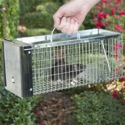 X-Small 1-Door Professional Live Animal Cage Trap for Rat, Squirrel, Chipmunk, and Weasel by Havahart -Pest Control Sales havahart animal traps 0745 31 1000