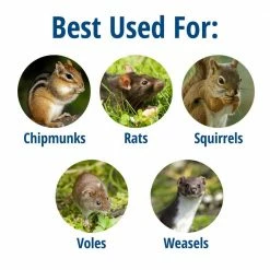 X-Small 1-Door Professional Live Animal Cage Trap for Rat, Squirrel, Chipmunk, and Weasel by Havahart -Pest Control Sales havahart animal traps 0745 c3 1000