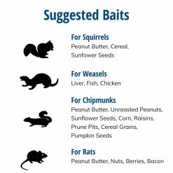 X-Small 1-Door Professional Live Animal Cage Trap for Rat, Squirrel, Chipmunk, and Weasel by Havahart -Pest Control Sales havahart animal traps 0745 fa 1000