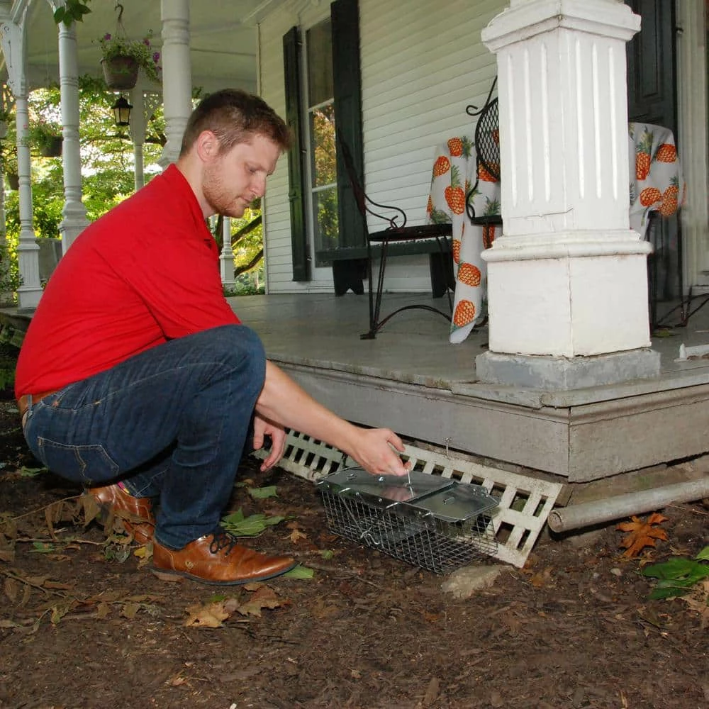 Small 2-Door Professional Live Animal Cage Trap for Rat, Squirrel, Chipmunk, and Weasel by Havahart 12 Small 2-Door Professional Live Animal Cage Trap for Rat, Squirrel, Chipmunk, and Weasel by Havahart - Image 10