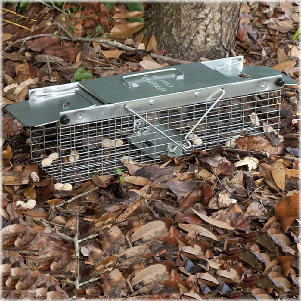 Small 2-Door Professional Live Animal Cage Trap for Rat, Squirrel, Chipmunk, and Weasel by Havahart 5 Small 2-Door Professional Live Animal Cage Trap for Rat, Squirrel, Chipmunk, and Weasel by Havahart - Image 3