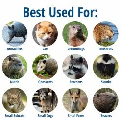 Large 1-Door Professional Live Animal Cage Trap for Raccoon, Opossum, Groundhog, and Feral Cat by Havahart -Pest Control Sales havahart animal traps 1079 c3 1000