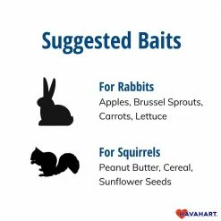 Small 1-Door Easy Set Live Animal Cage Trap for Squirrel and Rabbit by Havahart 18 Small 1-Door Easy Set Live Animal Cage Trap for Squirrel and Rabbit by Havahart -Pest Control Sales havahart animal traps 1083 1f 1000