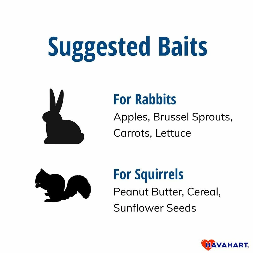 Small 1-Door Easy Set Live Animal Cage Trap for Squirrel and Rabbit by Havahart 9 Small 1-Door Easy Set Live Animal Cage Trap for Squirrel and Rabbit by Havahart - Image 7