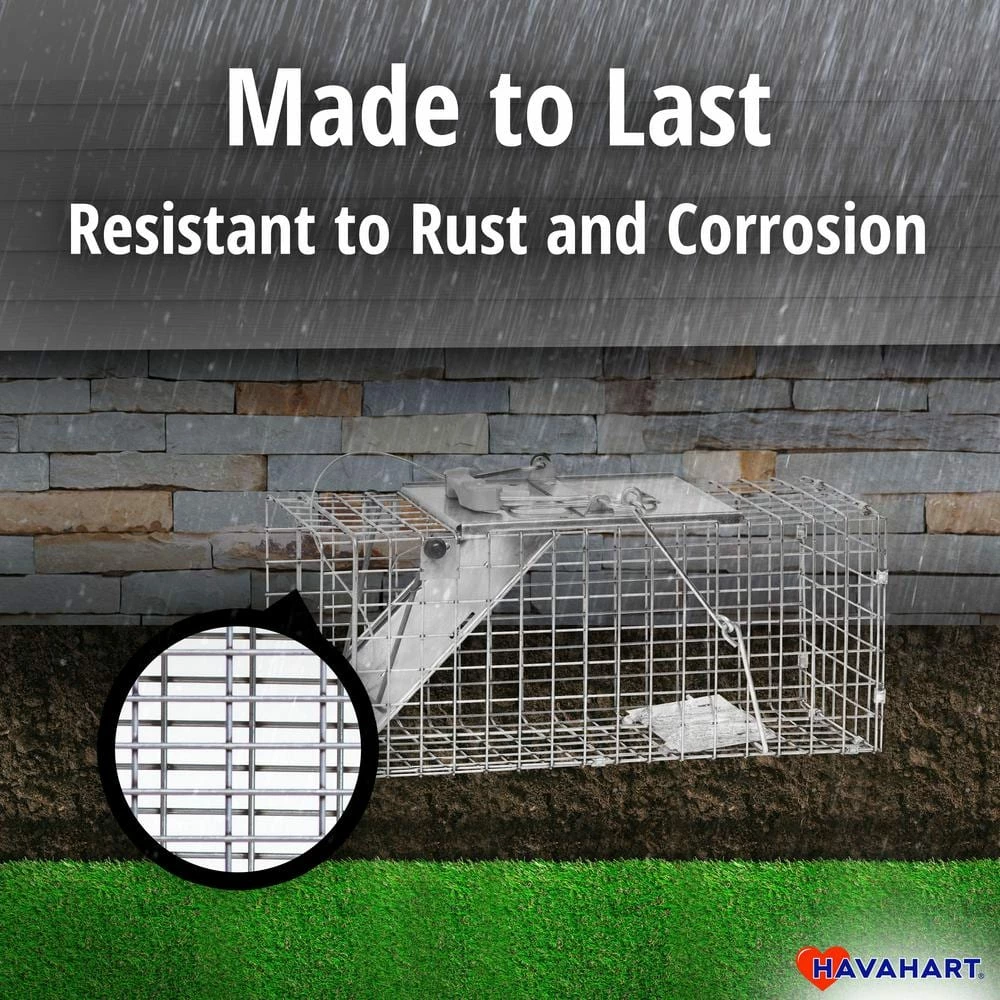Small 1-Door Easy Set Live Animal Cage Trap for Squirrel and Rabbit by Havahart 5 Small 1-Door Easy Set Live Animal Cage Trap for Squirrel and Rabbit by Havahart - Image 3