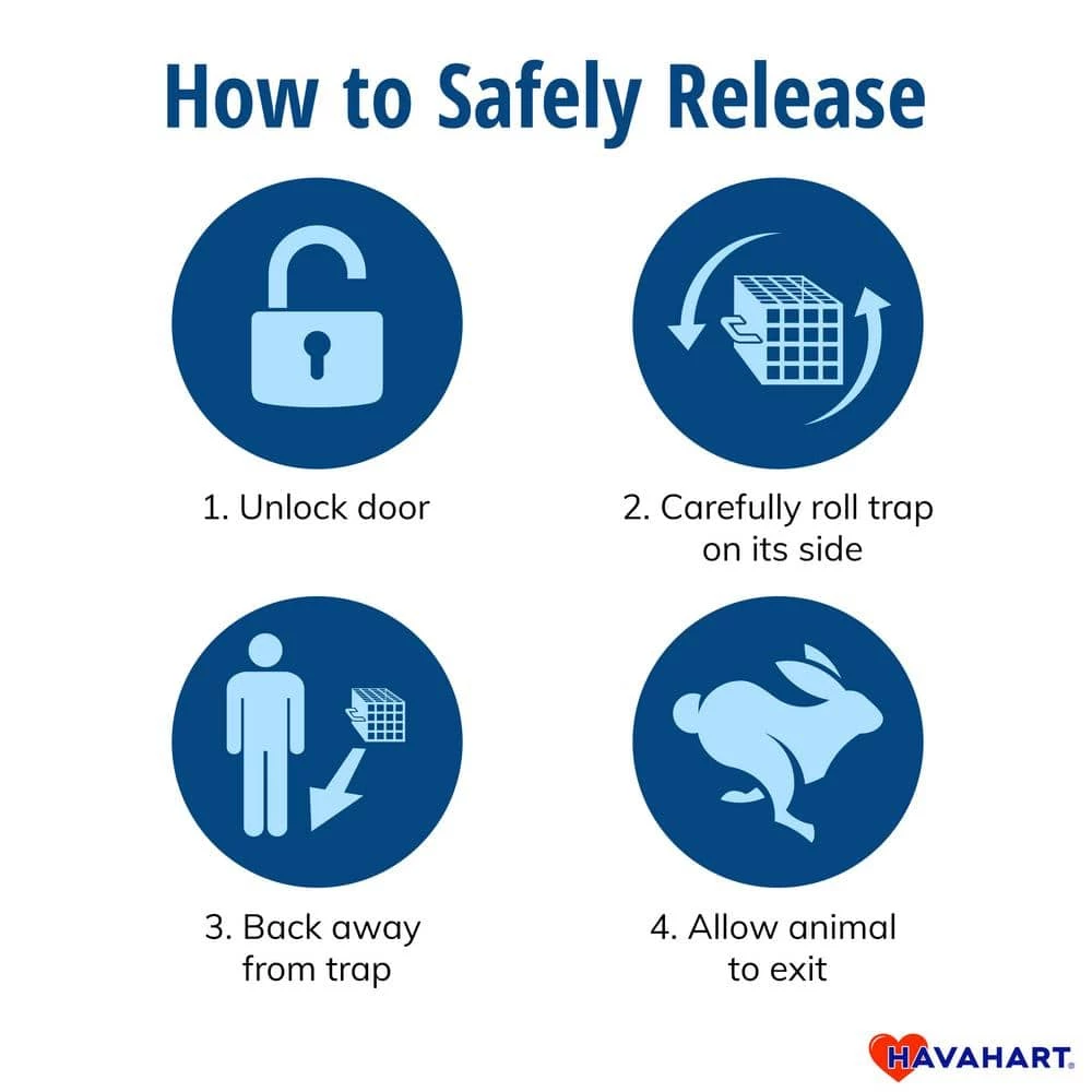 Small 1-Door Easy Set Live Animal Cage Trap for Squirrel and Rabbit by Havahart 12 Small 1-Door Easy Set Live Animal Cage Trap for Squirrel and Rabbit by Havahart - Image 10