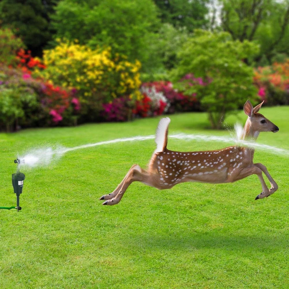 Cobra Yard and Garden Motion Activated Water Blaster - Animal Rodent Repeller by HOONT 7 Cobra Yard and Garden Motion Activated Water Blaster - Animal Rodent Repeller by HOONT - Image 5