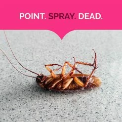 17.5 oz. Ant, Roach, and Spider Insect Killer Aerosol Spray Fresh Floral Scent (2-Pack) by Hot Shot -Pest Control Sales hot shot bug killer spray hg 26781 2 44 1000