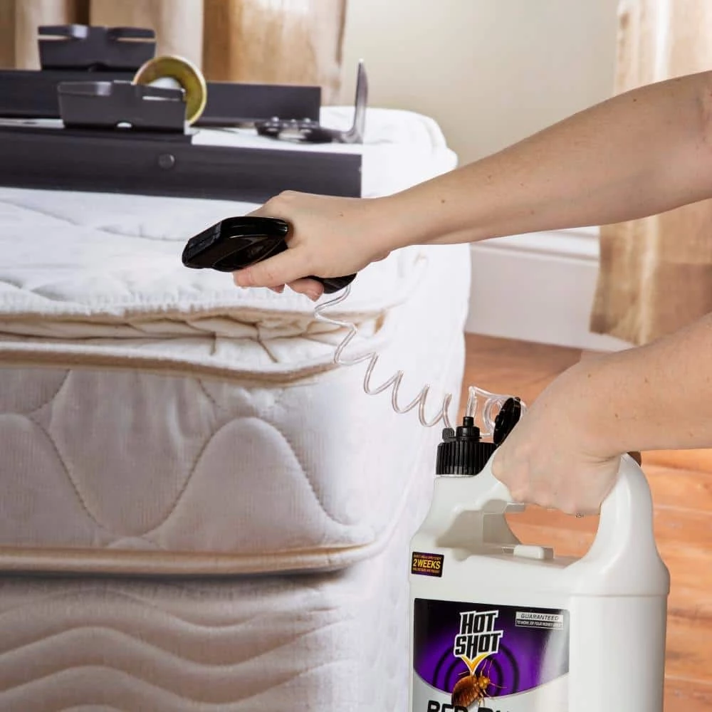 1 Gal. Ready-to-Use Bed Bug Killer Treatment With Egg Kill by Hot Shot 4 1 Gal. Ready-to-Use Bed Bug Killer Treatment With Egg Kill by Hot Shot - Image 2