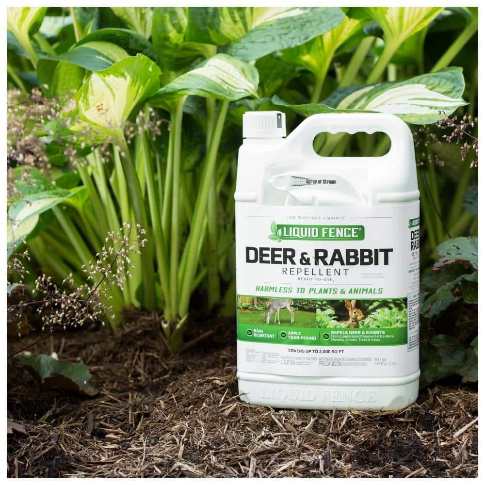1 Gal. Ready-to-Use Deer and Rabbit Repellent by Liquid Fence 5 1 Gal. Ready-to-Use Deer and Rabbit Repellent by Liquid Fence - Image 3