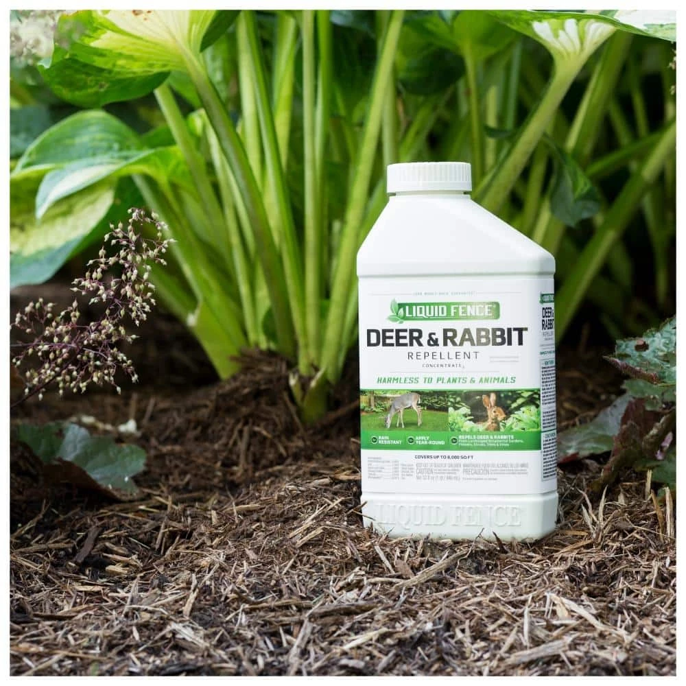 32 oz. Concentrate Deer and Rabbit Repellent by Liquid Fence 5 32 oz. Concentrate Deer and Rabbit Repellent by Liquid Fence - Image 3
