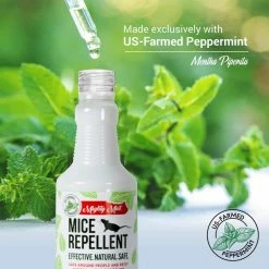 16 oz. Peppermint Oil Mice Repellent Spray - Non Toxic by Mighty Mint 11 16 oz. Peppermint Oil Mice Repellent Spray - Non Toxic by Mighty Mint -Pest Control Sales mighty mint animal repellents ms 16 1f 1000