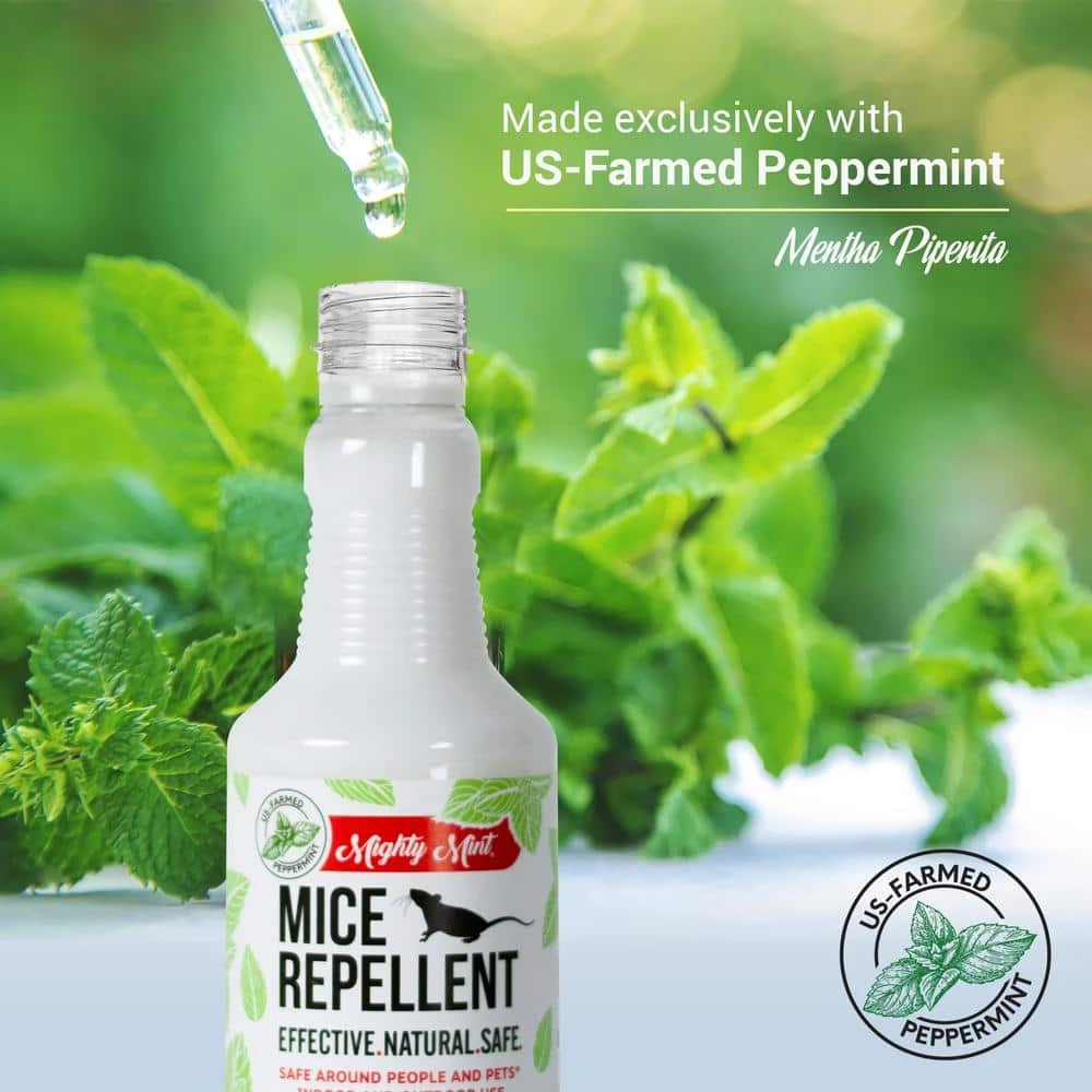 16 oz. Peppermint Oil Mice Repellent Spray - Non Toxic by Mighty Mint 6 16 oz. Peppermint Oil Mice Repellent Spray - Non Toxic by Mighty Mint - Image 4