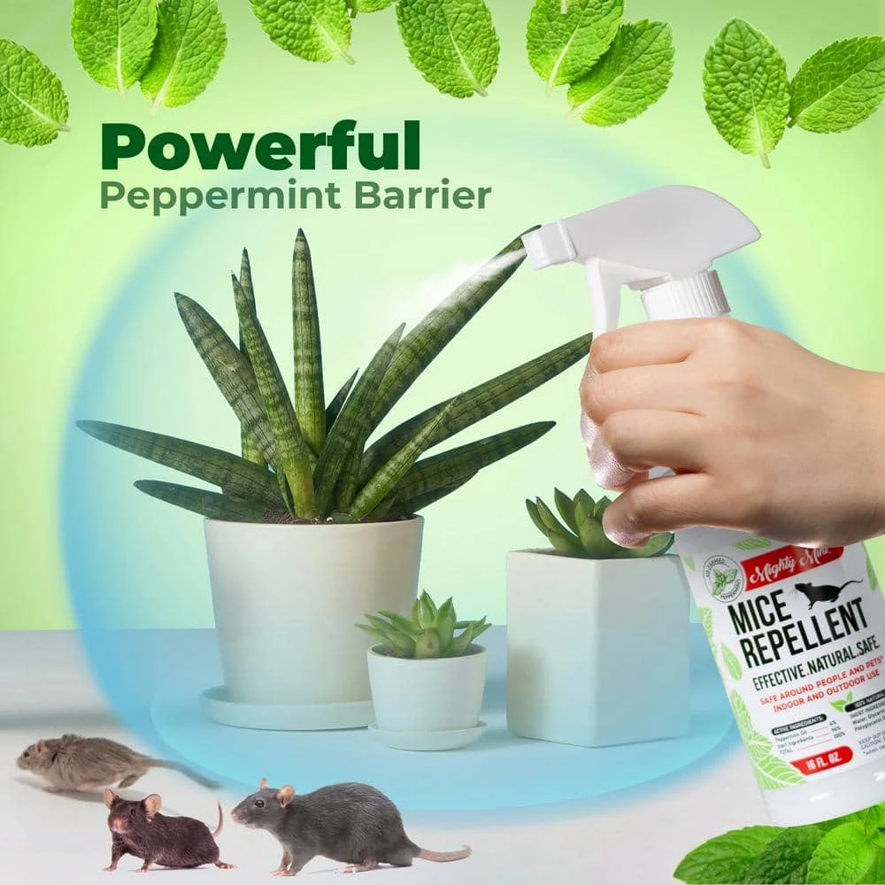 16 oz. Peppermint Oil Mice Repellent Spray - Non Toxic by Mighty Mint 5 16 oz. Peppermint Oil Mice Repellent Spray - Non Toxic by Mighty Mint - Image 3