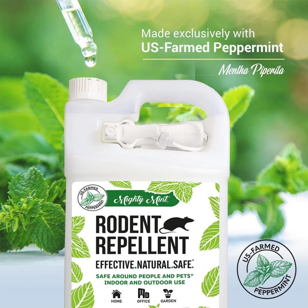 Gallon (128 oz.) Rodent Natural Peppermint Oil Spray - Non Toxic by Mighty Mint 6 Gallon (128 oz.) Rodent Natural Peppermint Oil Spray - Non Toxic by Mighty Mint - Image 4
