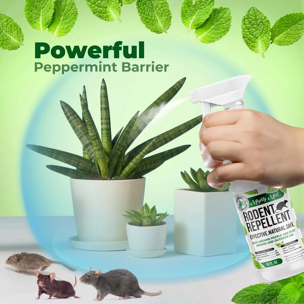 16 oz. Peppermint Oil Rodent Repellent Spray - Non Toxic by Mighty Mint 5 16 oz. Peppermint Oil Rodent Repellent Spray - Non Toxic by Mighty Mint - Image 3