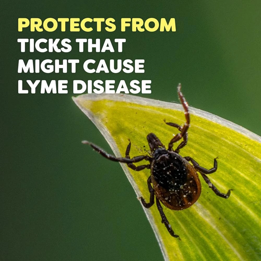 Deep Woods 6 oz. Insect Repellent Aerosol Spray by OFF! 4 Deep Woods 6 oz. Insect Repellent Aerosol Spray by OFF! - Image 2