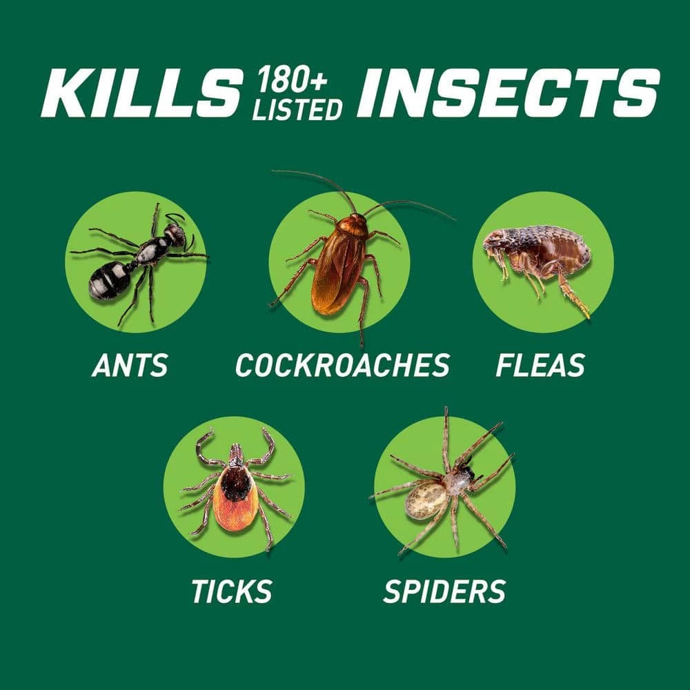 1 Gal. RTU Bgon Indoor Insect by Ortho 5 1 Gal. RTU Bgon Indoor Insect by Ortho - Image 3