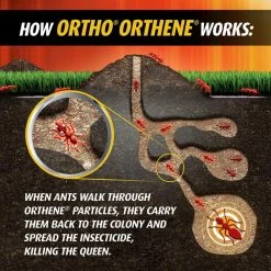 Orthene 12 oz. Fire Ant Killer by Ortho 19 Orthene 12 oz. Fire Ant Killer by Ortho -Pest Control Sales ortho insect killer granules 0282210 1f 1000