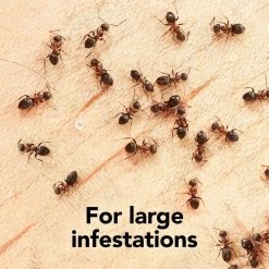 1.27 oz. Fresh Scent Dry Fogger (3-Pack) by Raid Max -Pest Control Sales raid max bug foggers 306733 1f 1000