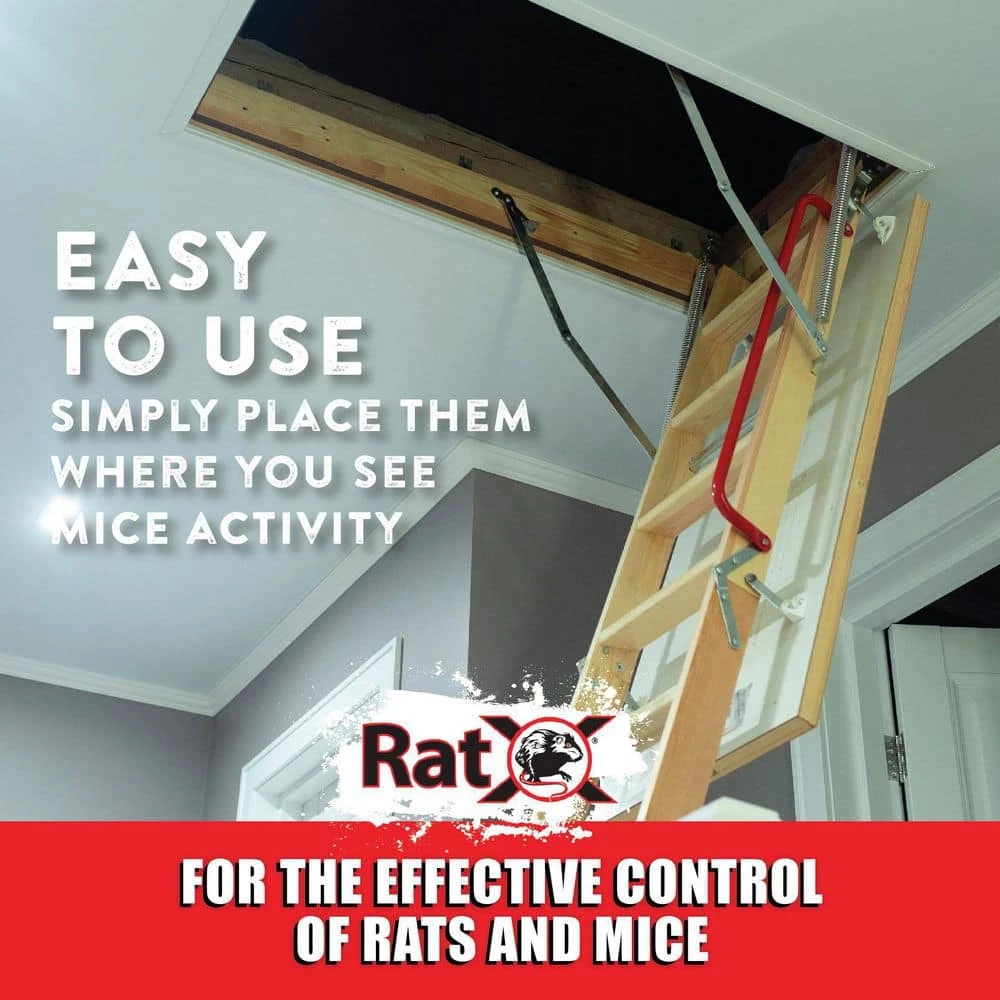 3 lbs. Rodent Control by RatX 13 3 lbs. Rodent Control by RatX - Image 11
