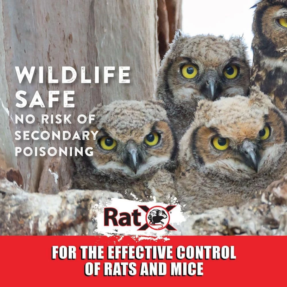 3 lbs. Rodent Control by RatX 11 3 lbs. Rodent Control by RatX - Image 9