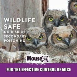 Mouse-X 1 lbs. Rodent Control by RatX -Pest Control Sales ratx bait stations 100525060 4f 1000