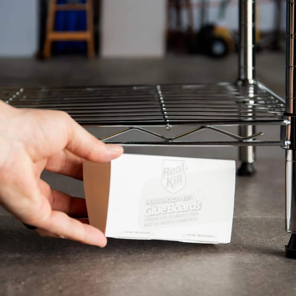 Household Pest Glue Boards (4-Count) by Real-Kill 5 Household Pest Glue Boards (4-Count) by Real-Kill - Image 3