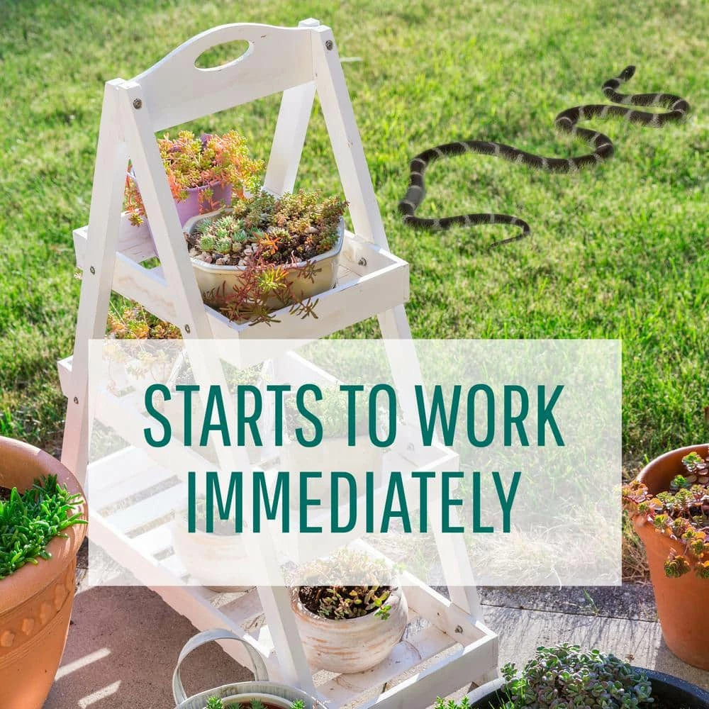 4 lb. Snake Shield Snake Repellent Granules by Safer Brand 5 4 lb. Snake Shield Snake Repellent Granules by Safer Brand - Image 3