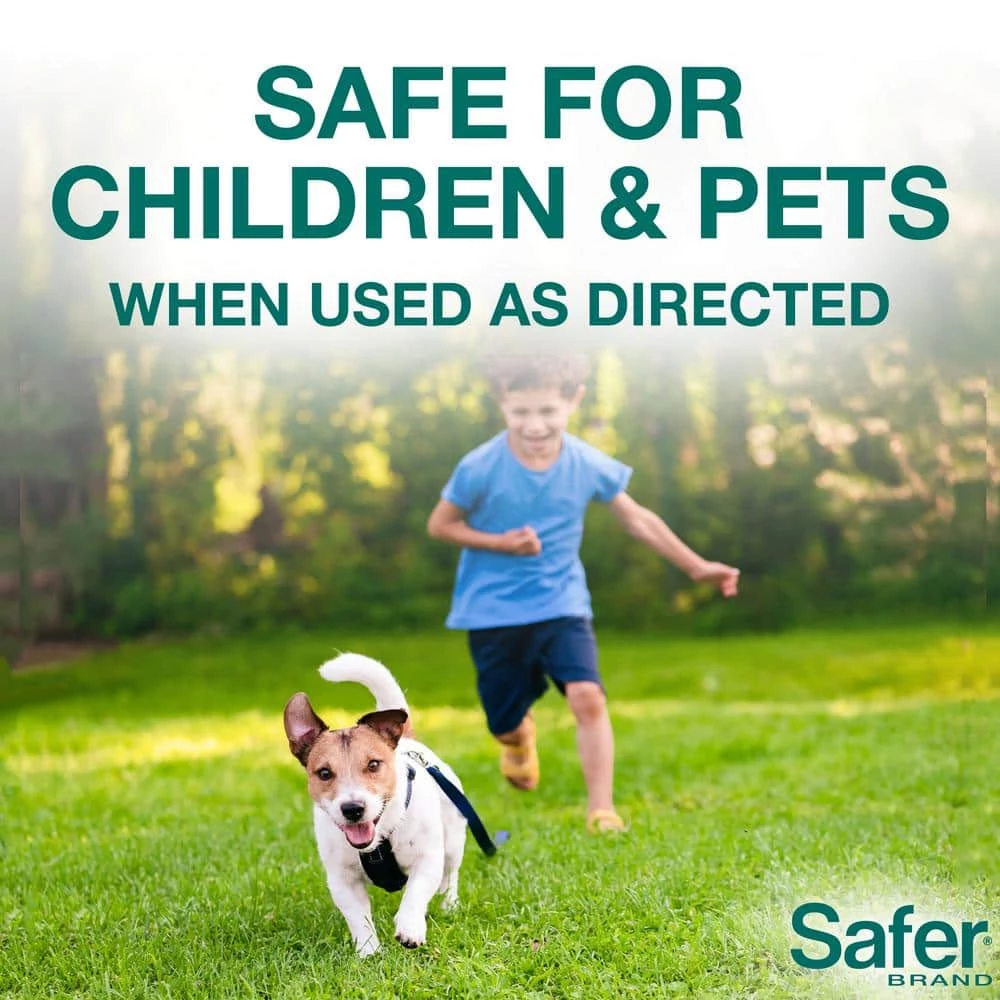 4 lb. Diatomaceous Earth - Bed Bug, Flea, Ant, Crawling Insect Killer for Indoor and Outdoor by Safer Brand 9 4 lb. Diatomaceous Earth - Bed Bug, Flea, Ant, Crawling Insect Killer for Indoor and Outdoor by Safer Brand - Image 7